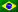 Бразильский